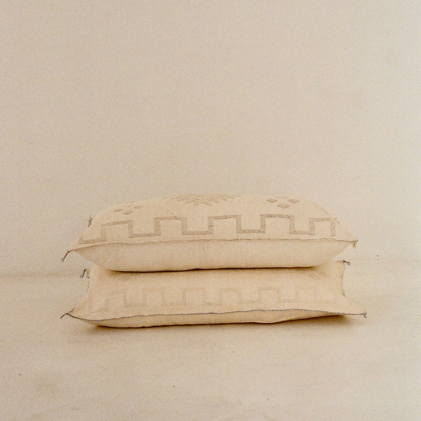 Cream Cactus Silk Cushion