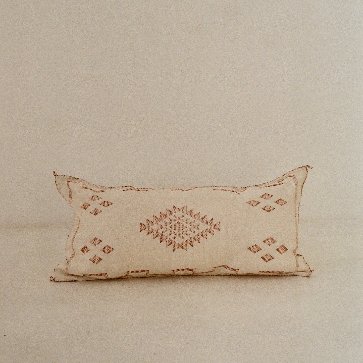 White and Rust Cactus Silk Cushion