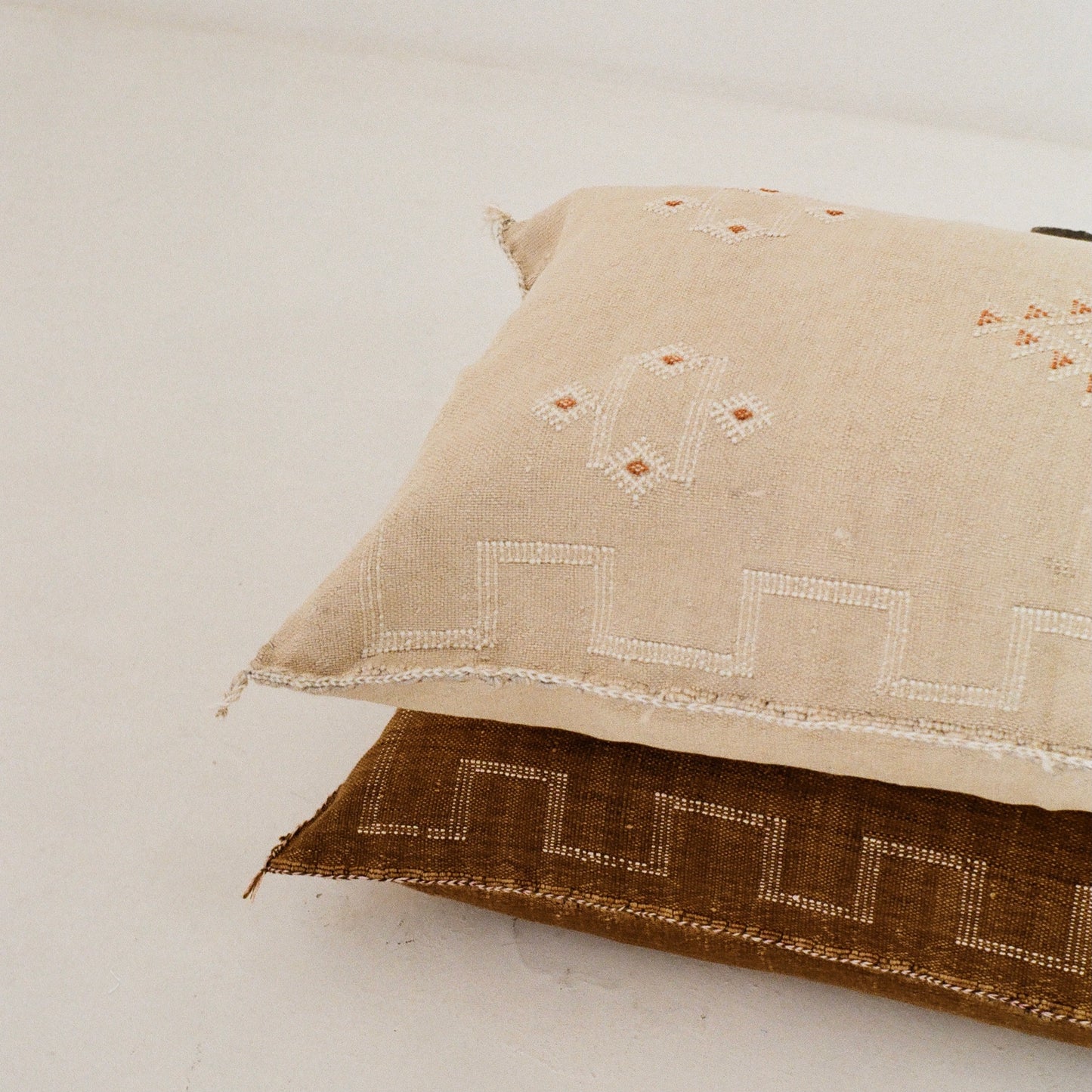 Beige Cactus Silk Cushion (Silver under tone)