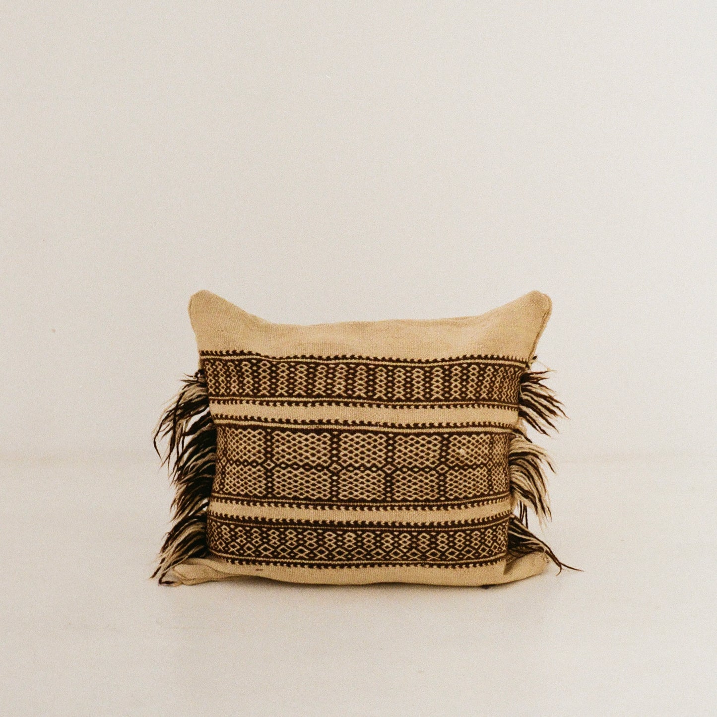 Cream and Brown Tassel Cushion