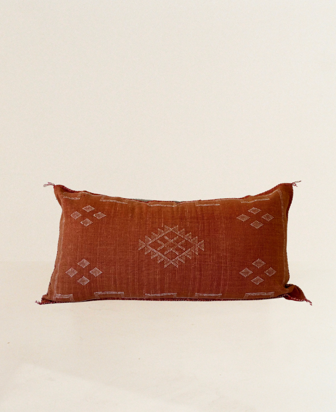 Orange Cactus Silk Cushion