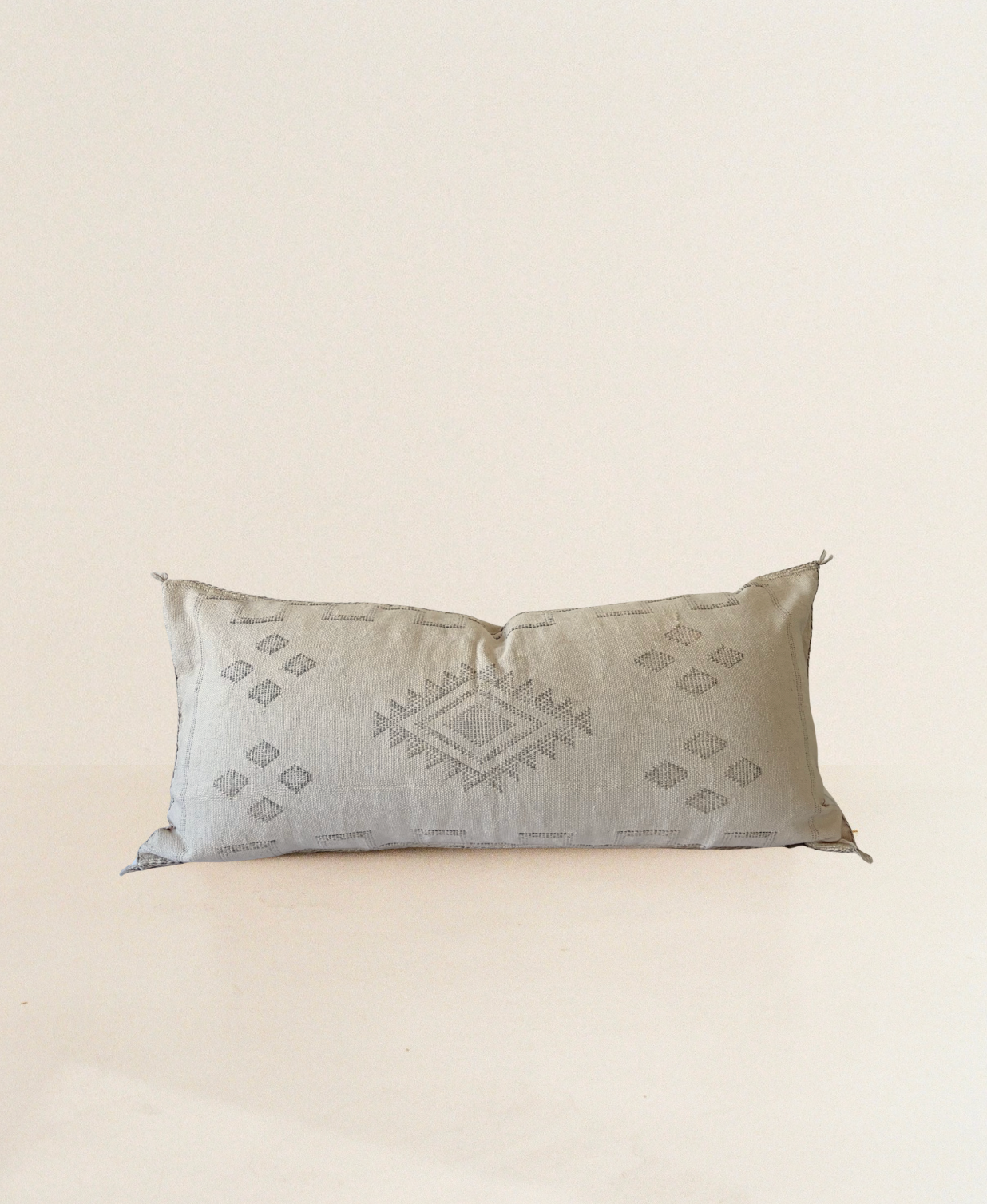 White with Silver Detail Cactus Silk Cushion