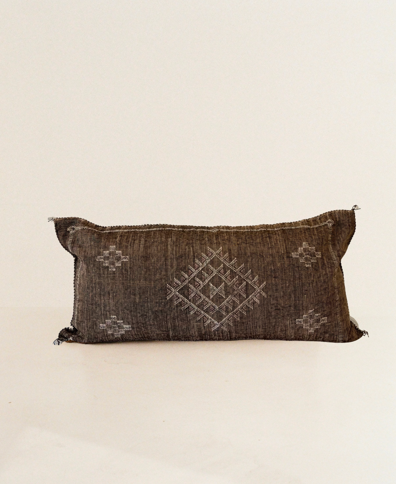Brown Cactus Silk Cushion (Black undertone)