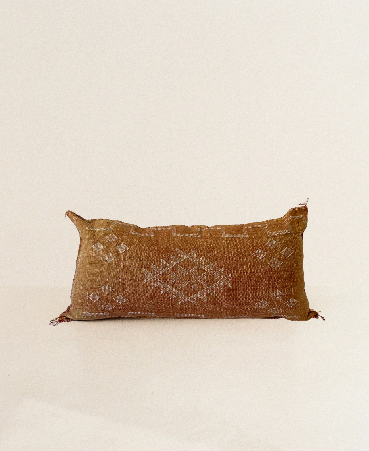 Orange Cactus Silk Cushion