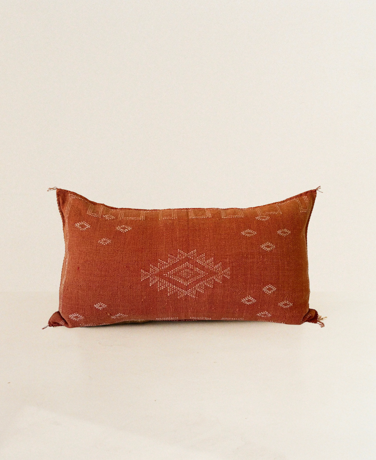 Bold Orange Cactus Silk Cushion