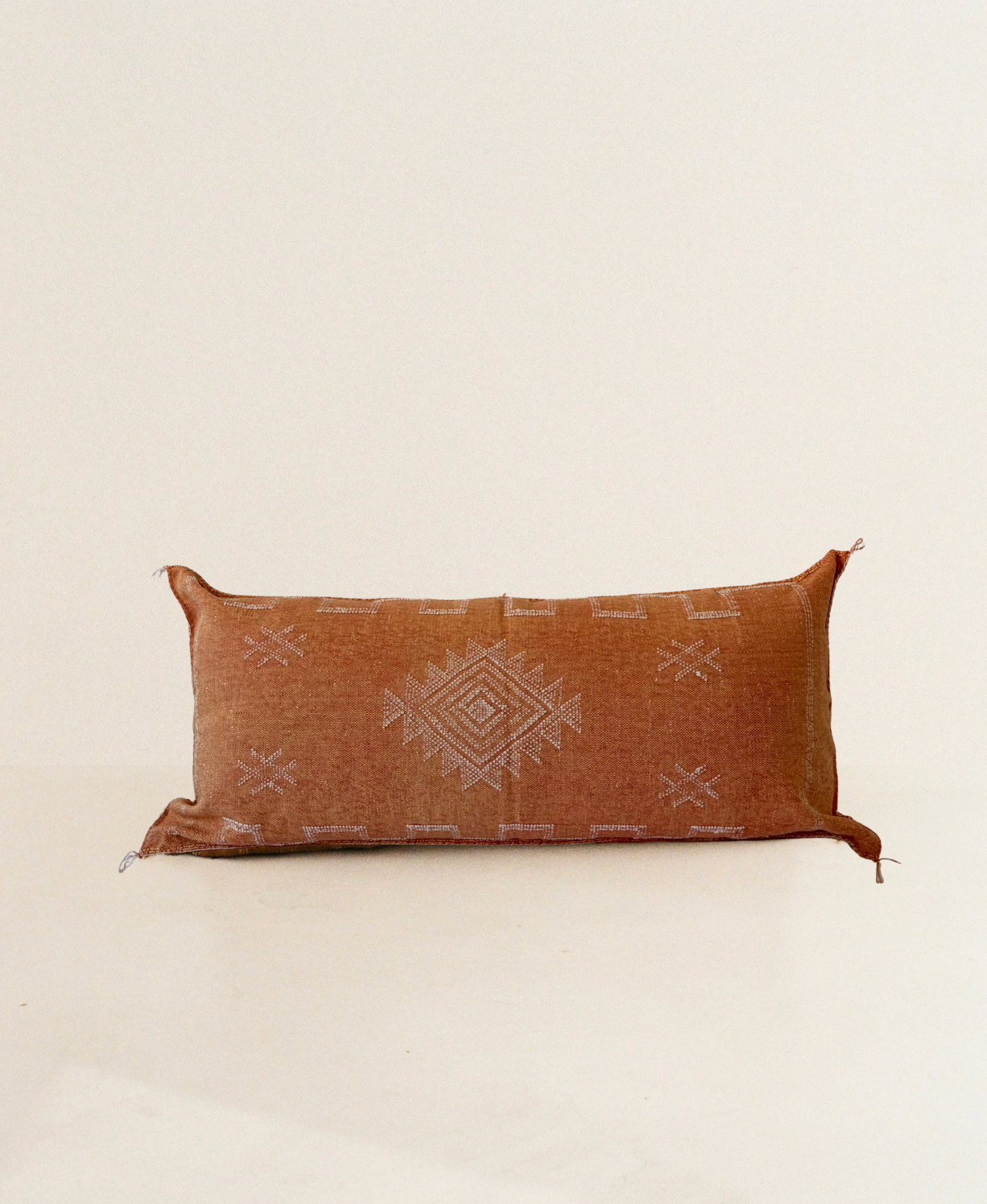 Orange with White Detail Cactus Silk Cushion