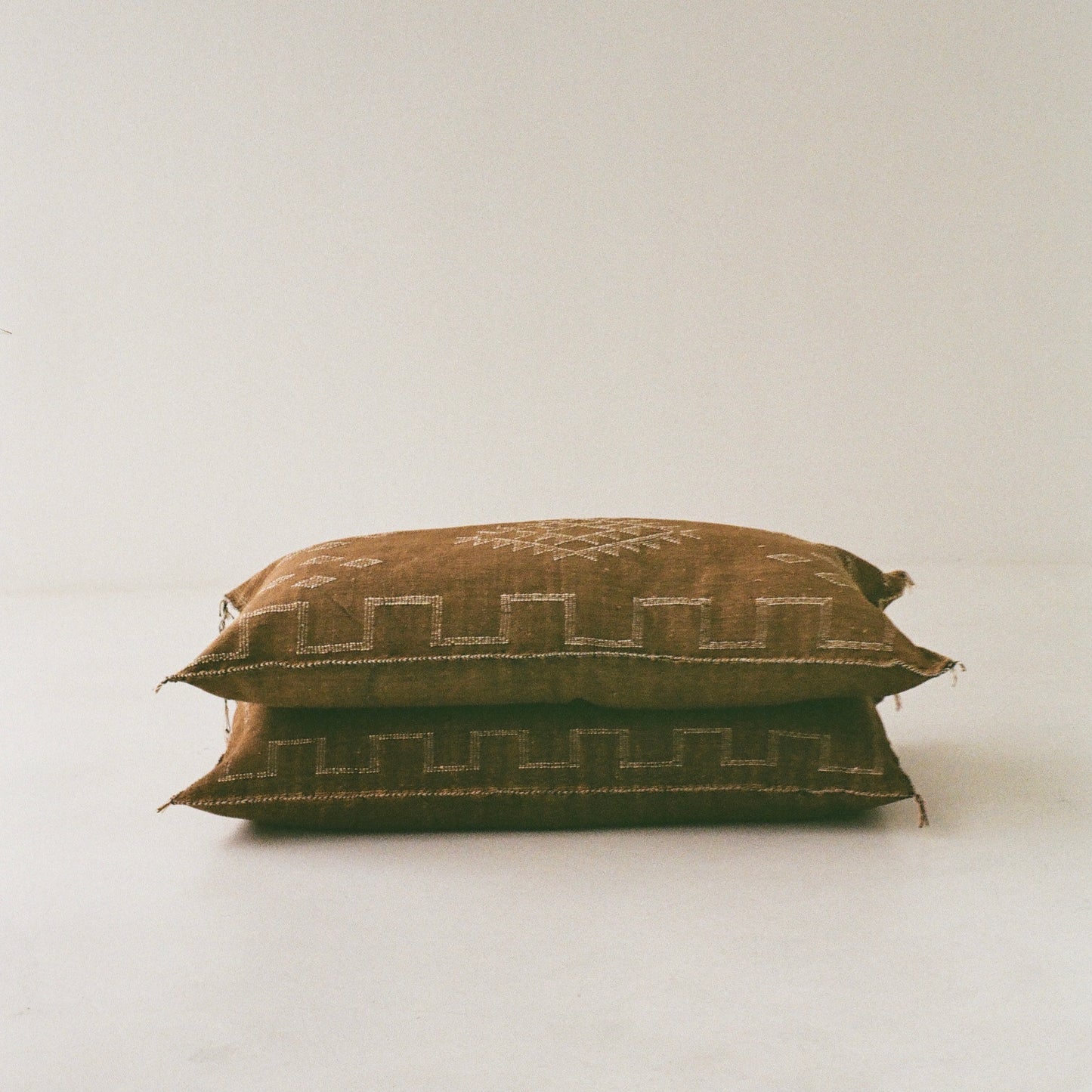 Chocolate Brown Cactus Silk Cushion