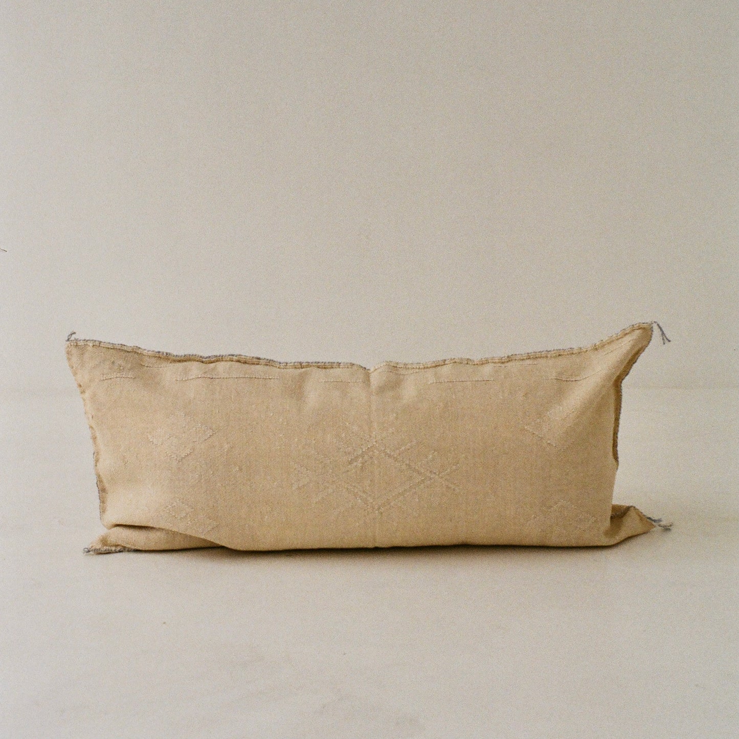 Beige Cactus Silk Cushion