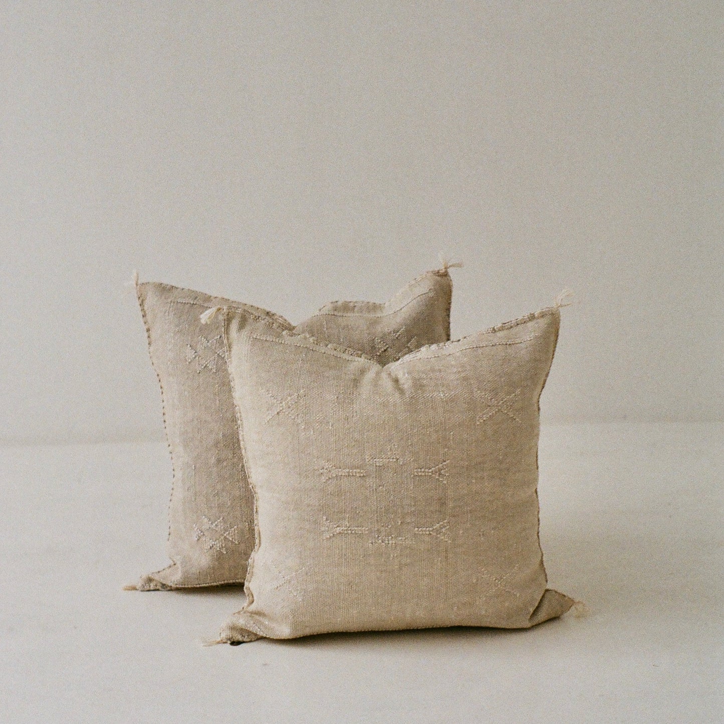 Square Silver Cactus Silk Cushion