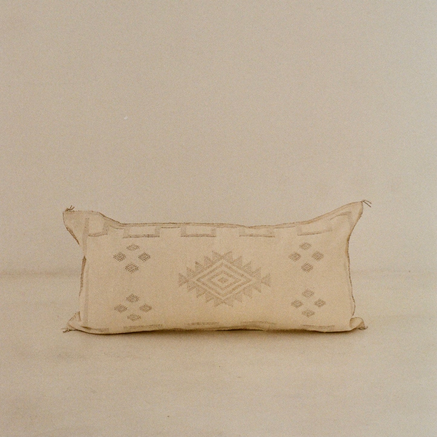 Cream Cactus Silk Cushion