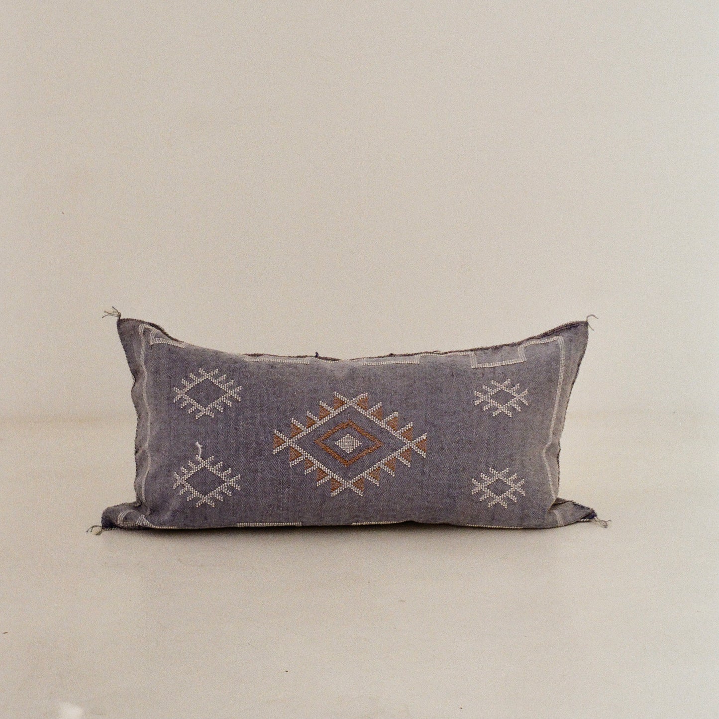 Blue Cactus Silk Cushions
