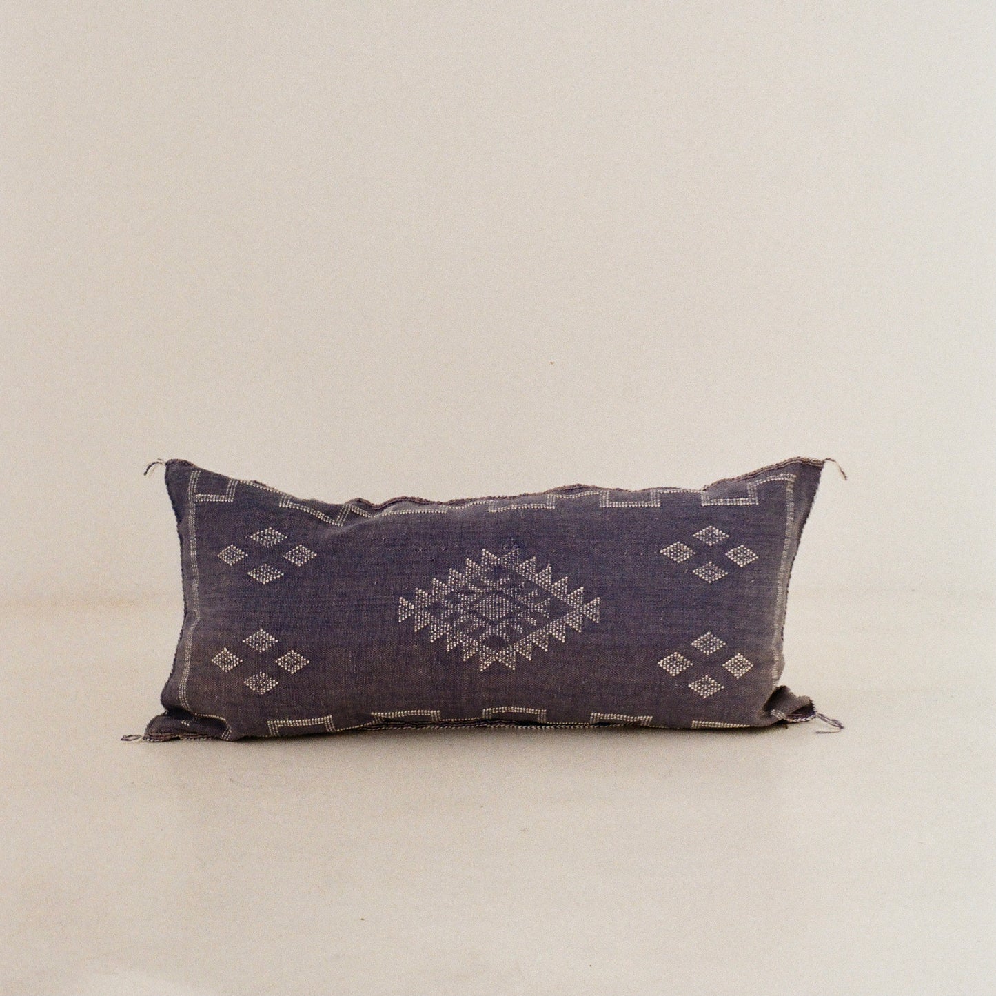 Blue Cactus Silk Cushions