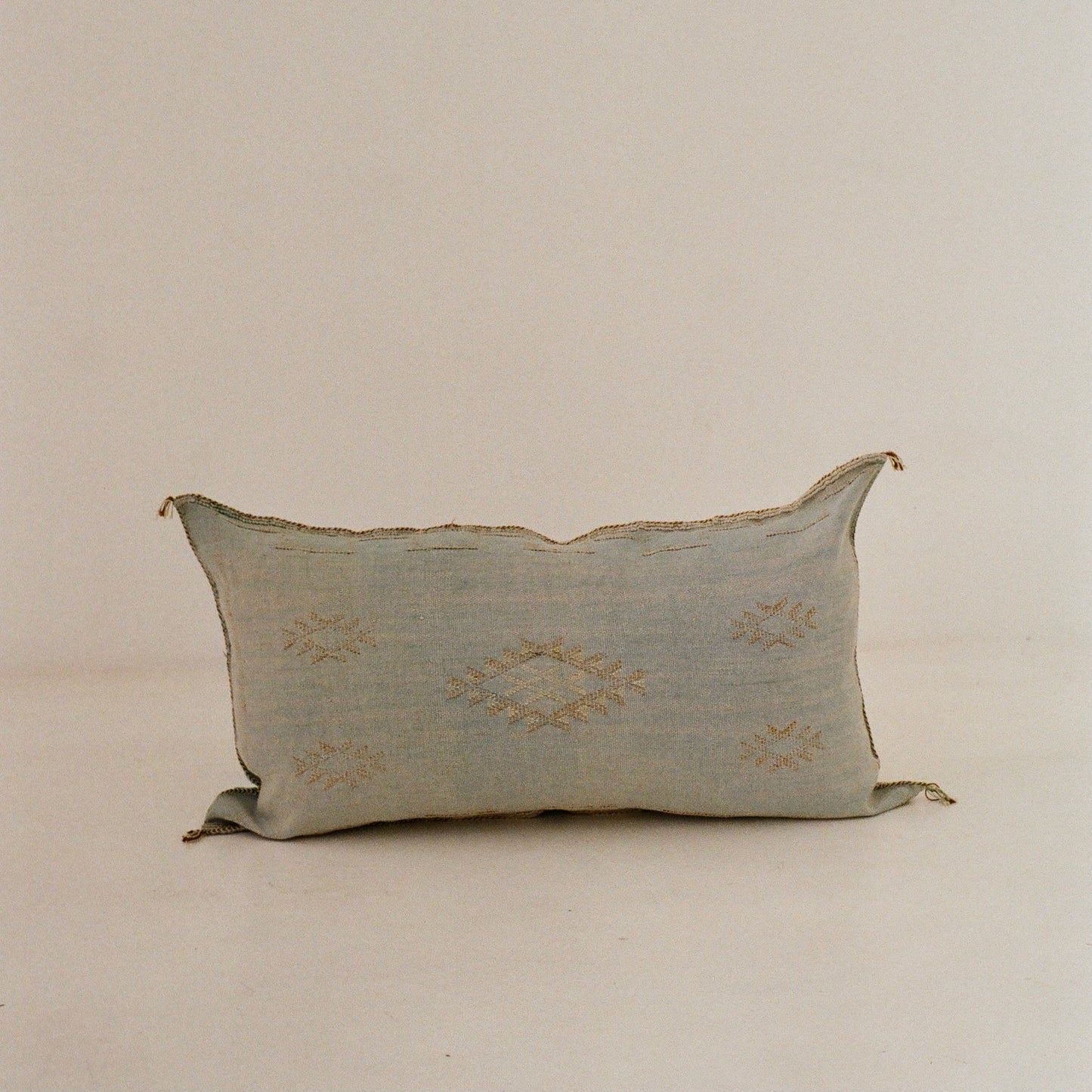 Blue Cactus Silk Cushions