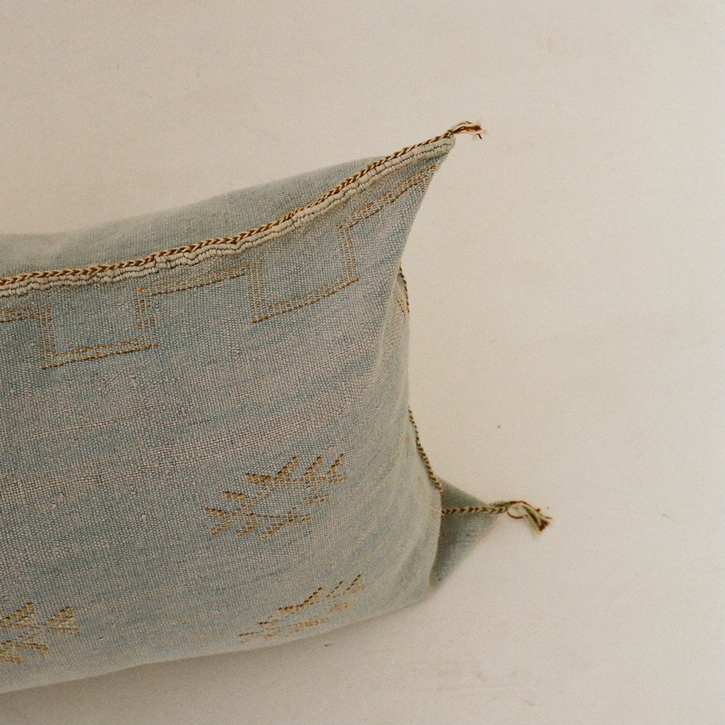 Blue Cactus Silk Cushions