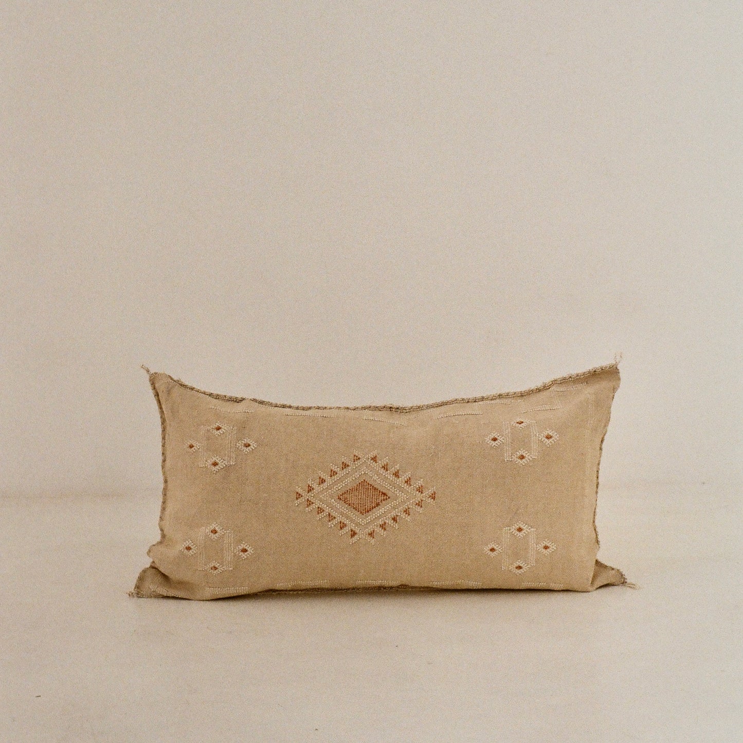 Beige Cactus Silk Cushion (Silver under tone)