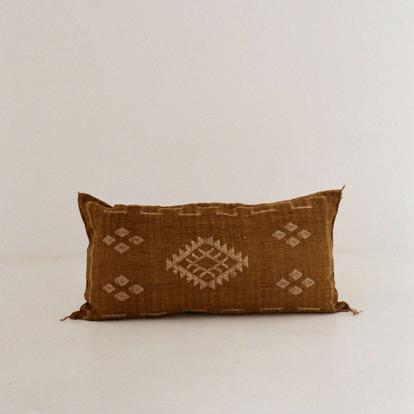 Chocolate Brown Cactus Silk Cushion