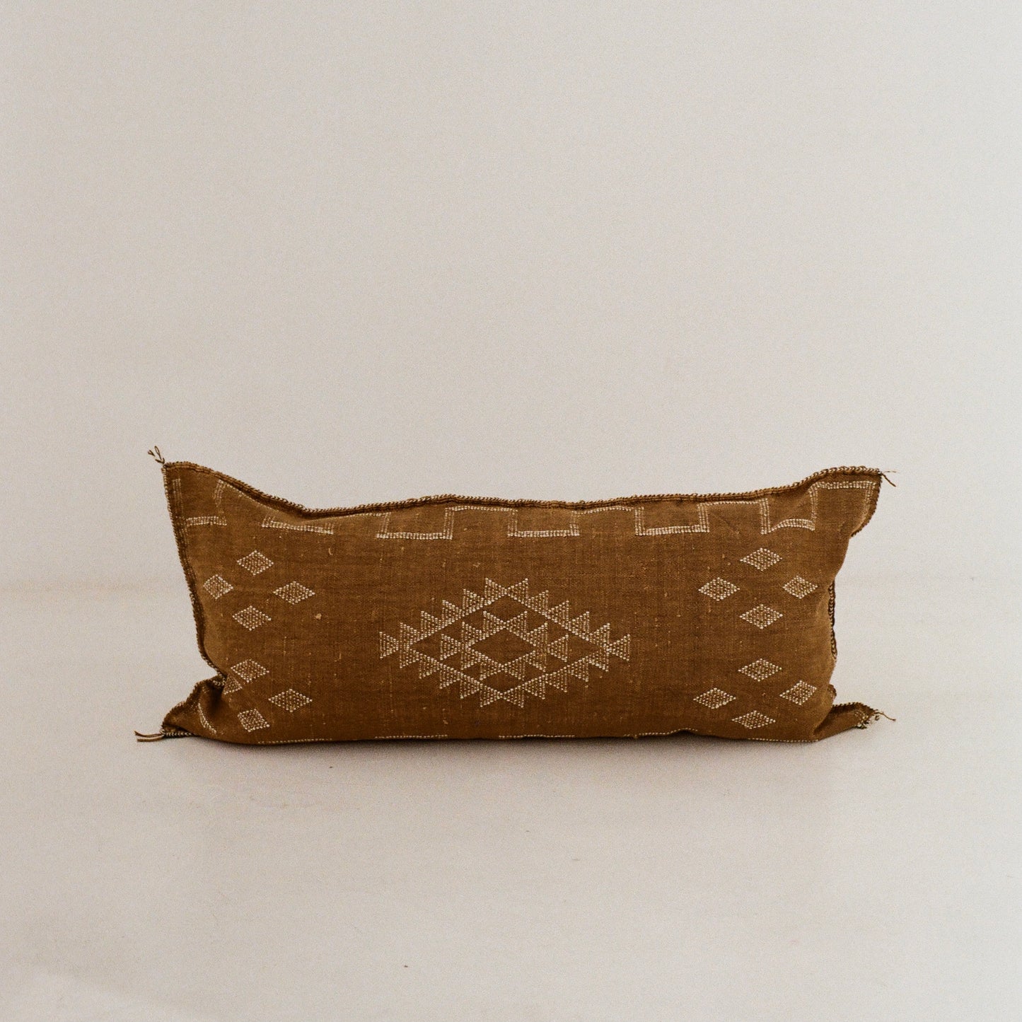Chocolate Brown Cactus Silk Cushion