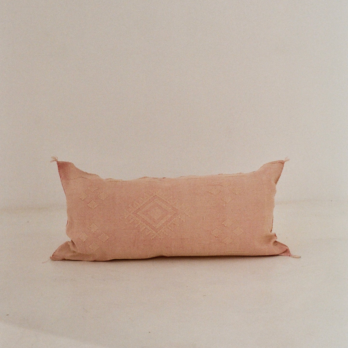 Pink Cactus Silk Cushion