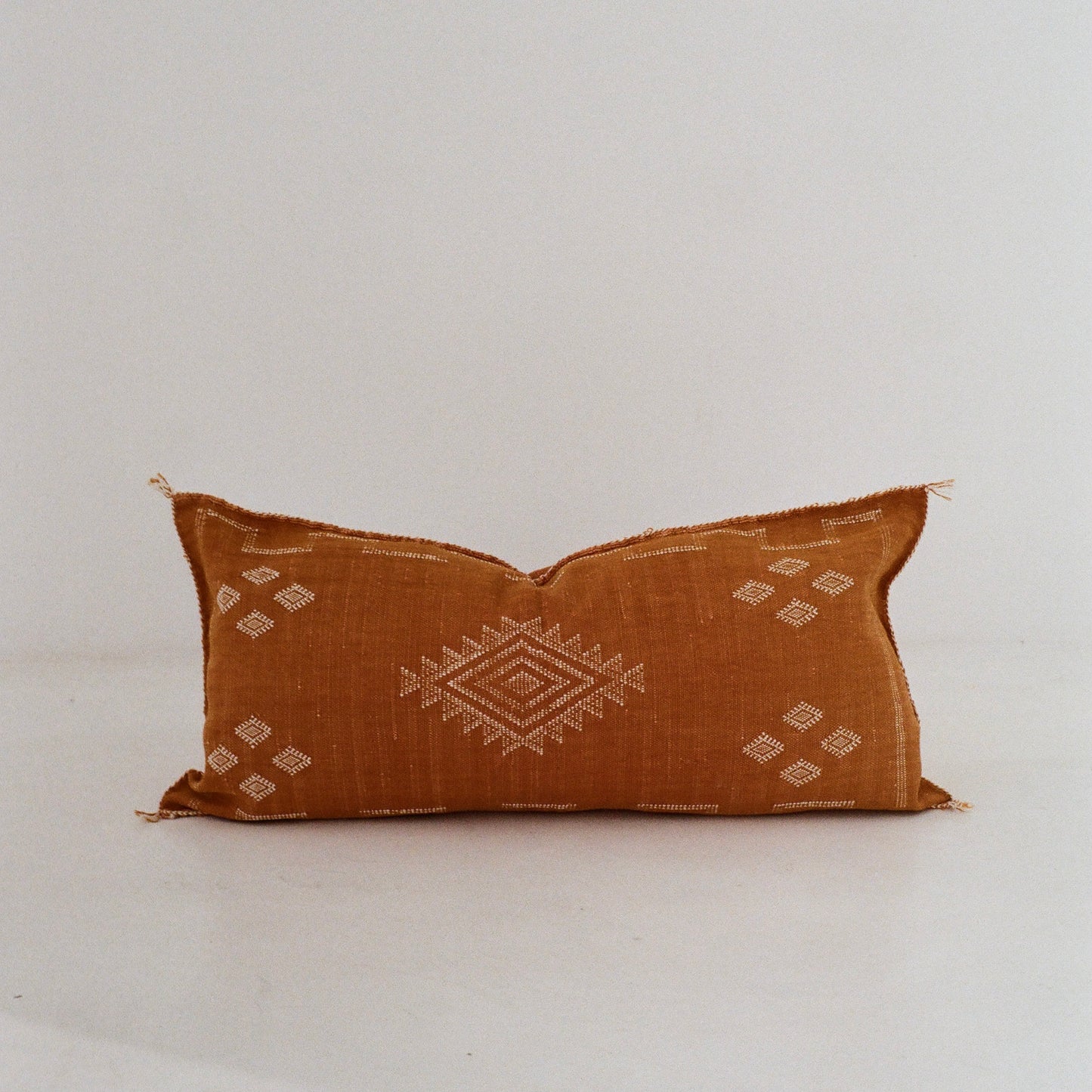 Rust & White Cactus Silk Cushion