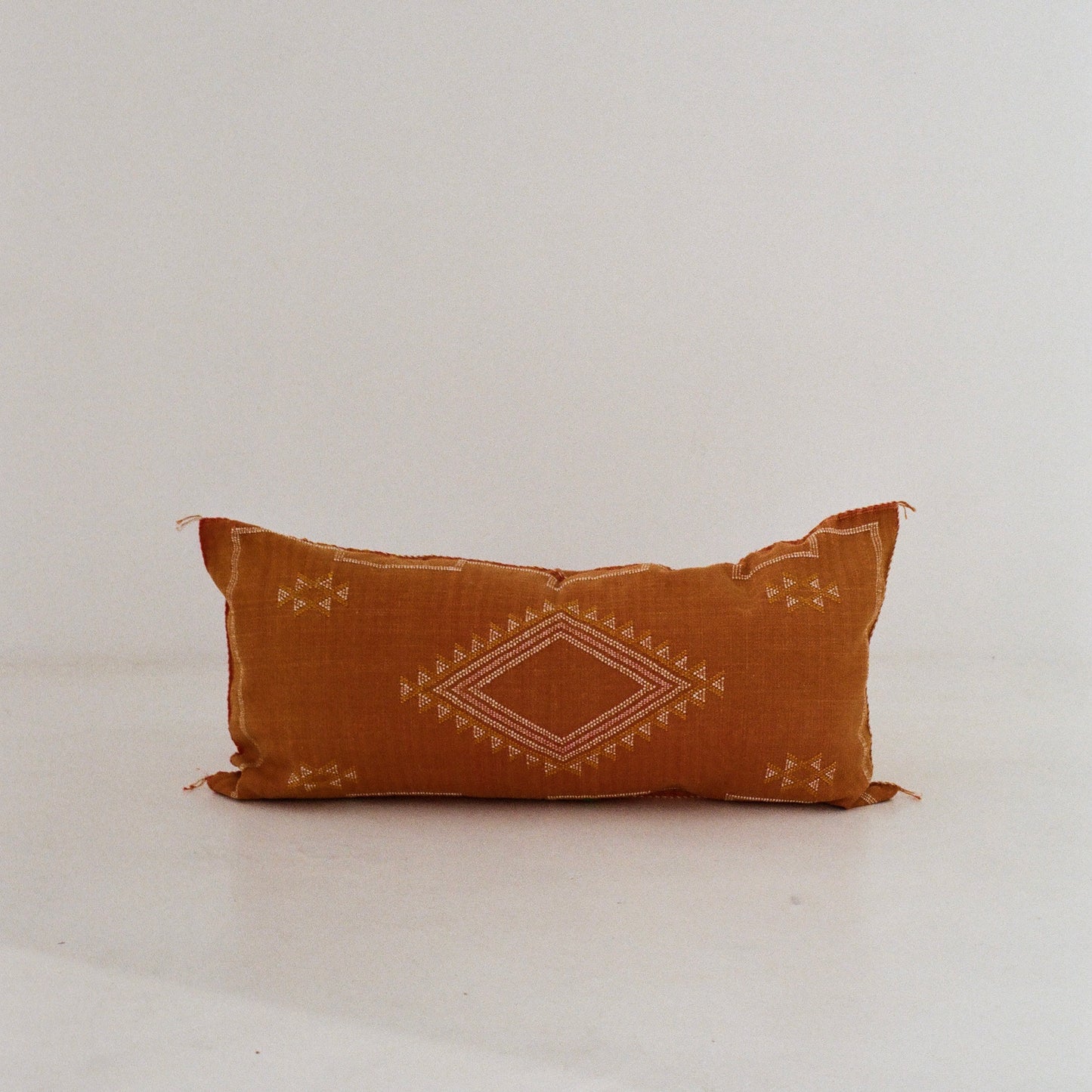 Rust Cactus Silk Cushion