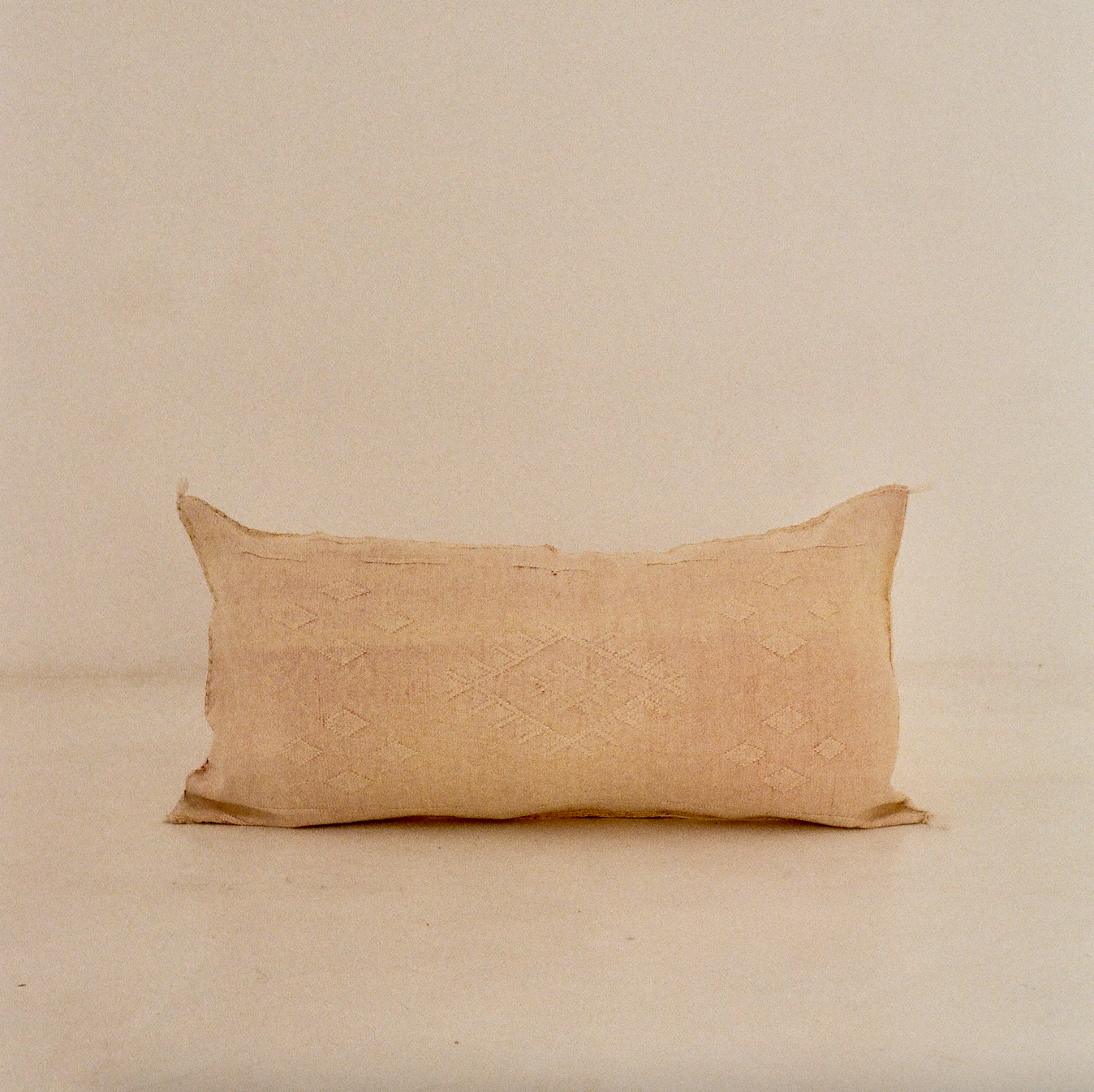 Faded Pink Cactus Silk Cushion