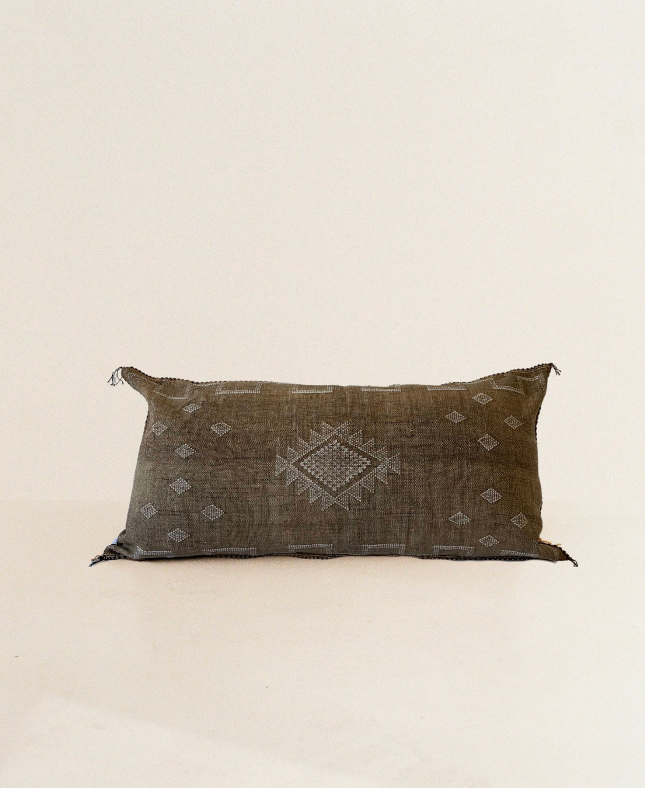 Chocolate Brown Cactus Silk Cushion