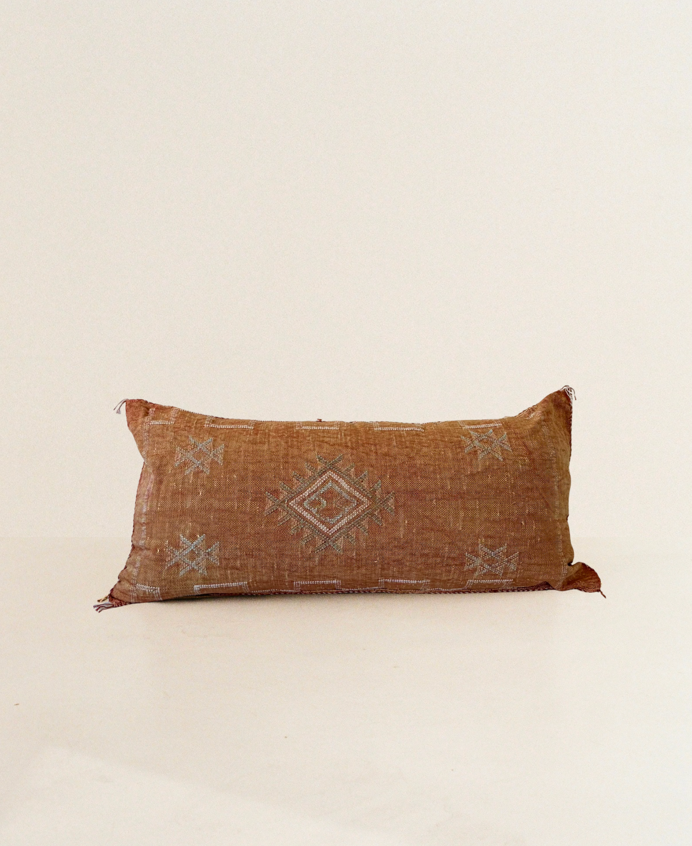 Orange with Turquoise Detail Cactus Silk Cushion