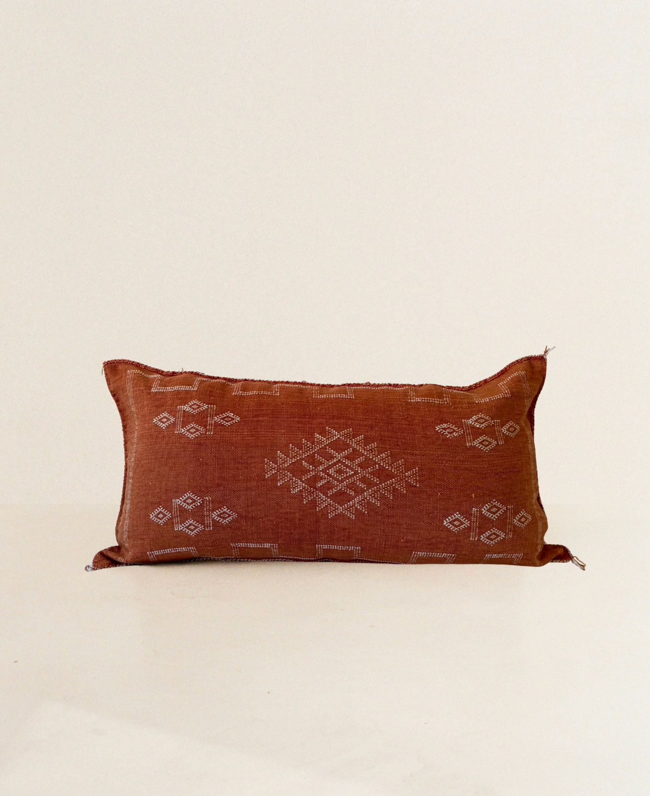 Rust Orange Cactus Silk Cushion
