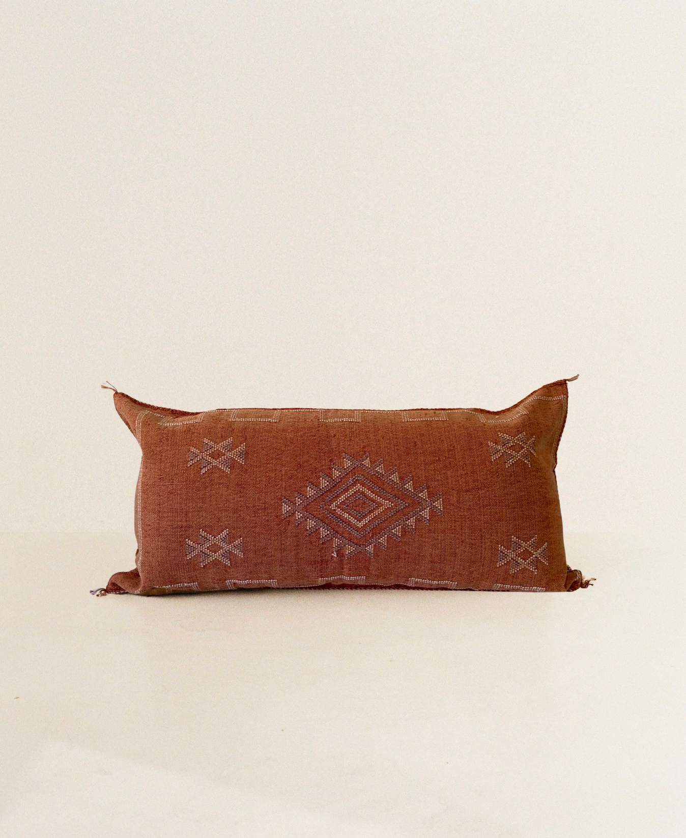 Rust Orange with Purple Detail Cactus Silk Cushion