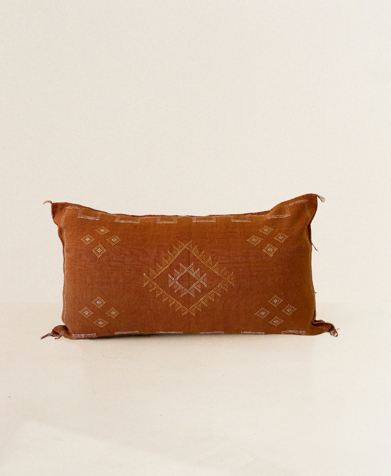 Rust Cactus Silk Cushion